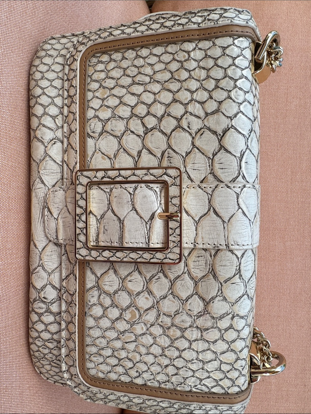 Brahmin Rosalie Oyster Grey Ellacoya Bag with Gold chain - Picture 6 of 13